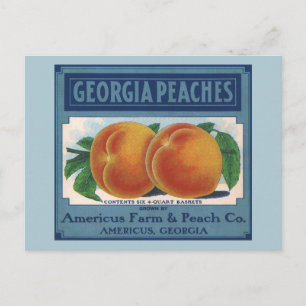  fruitkratelkunst, Georgia Peaches Briefkaart