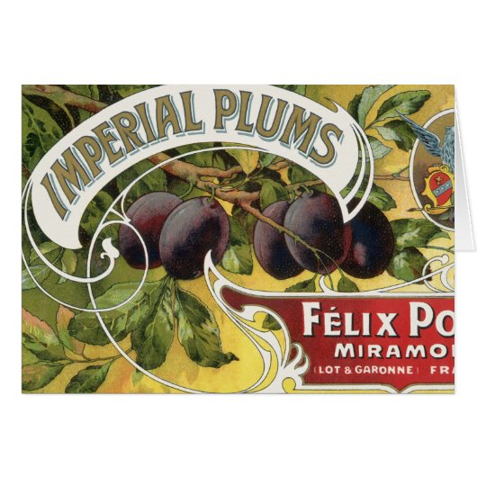  fruitkratelkunst, imperiale stekeltjes (Voorkant Horizontaal)