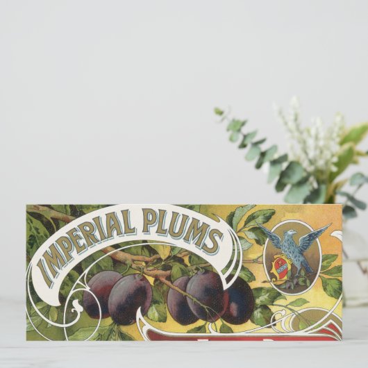  fruitkratelkunst, imperiale stekeltjes (Staand voorkant)