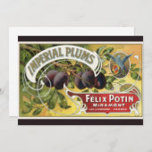  fruitkratelkunst, imperiale stekeltjes (Voorkant / Achterkant)