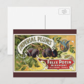  fruitkratelkunst, imperiale stekeltjes briefkaart (Voorkant / Achterkant)