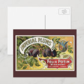 fruitkratelkunst, imperiale stekeltjes briefkaart (Voorkant / Achterkant)