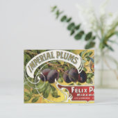  fruitkratelkunst, imperiale stekeltjes briefkaart (Staand voorkant)