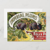  fruitkratelkunst, imperiale stekeltjes briefkaart (Voorkant / Achterkant)