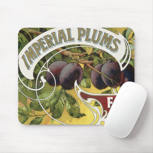  fruitkratelkunst, imperiale stekeltjes muismat (Met muis)