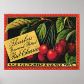  fruitkratelkunst, Thurber Cherries Poster (Voorkant)