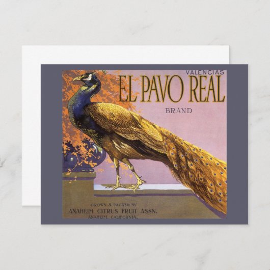 fruitkrattenlabel Art El Pavo Peacock Bird (Voorkant / Achterkant)
