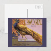  fruitkrattenlabel Art El Pavo Peacock Bird Briefkaart (Voorkant / Achterkant)