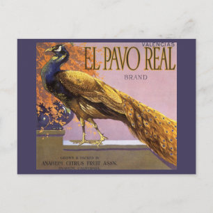 fruitkrattenlabel Art El Pavo Peacock Bird Briefkaart