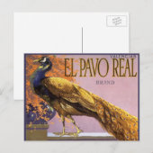 fruitkrattenlabel Art El Pavo Peacock Bird Briefkaart (Voorkant / Achterkant)