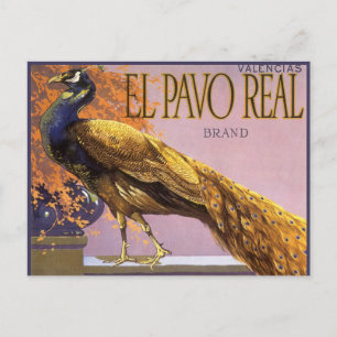 fruitkrattenlabel Art El Pavo Peacock Bird Briefkaart