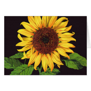 fruitkrattenlabel Art Orangedale Sunflower