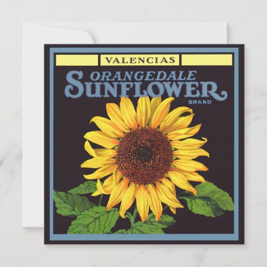  fruitkrattenlabel Art Orangedale Sunflower (Voorkant)