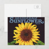  fruitkrattenlabel Art Orangedale Sunflower Briefkaart (Voorkant / Achterkant)