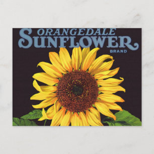 fruitkrattenlabel Art Orangedale Sunflower Briefkaart