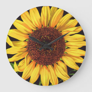  fruitkrattenlabel Art Orangedale Sunflower Grote Klok
