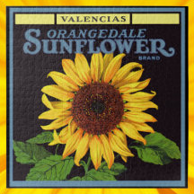  fruitkrattenlabel Art Orangedale Sunflower