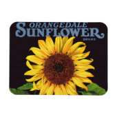  fruitkrattenlabel Art Orangedale Sunflower Magneet (Horizontaal)