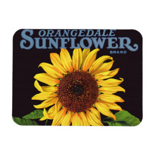 fruitkrattenlabel Art Orangedale Sunflower Magneet