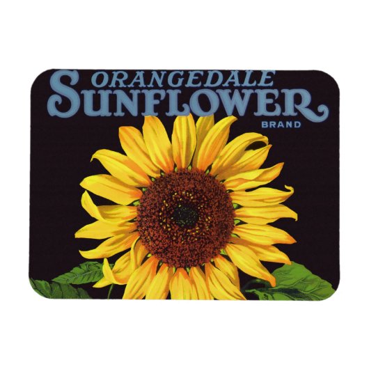  fruitkrattenlabel Art Orangedale Sunflower Magneet (Horizontaal)