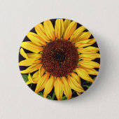 fruitkrattenlabel Art Orangedale Sunflower Ronde Button 5,7 Cm (Voorkant)