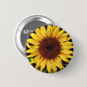  fruitkrattenlabel Art Orangedale Sunflower Ronde Button 5,7 Cm (Voorkant /achterkant)
