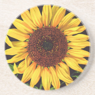 fruitkrattenlabel Art Orangedale Sunflower Zandsteen Onderzetter