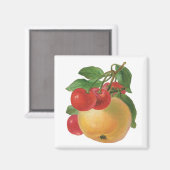  fruitmagneet magneet (Voorkant / Achterkant)