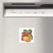  fruitmagneet magneet (Insitu (Vaatwasser))