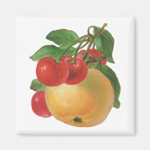 fruitnet magneet