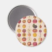 fruitpatroon magneet (Voorkant / Achterkant)