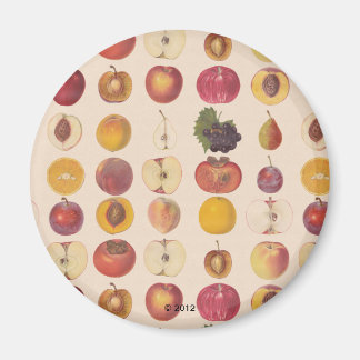 fruitpatroon magneet