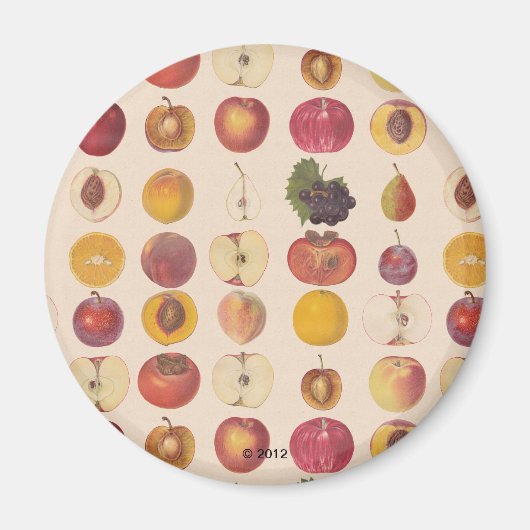 fruitpatroon magneet (Voorkant)