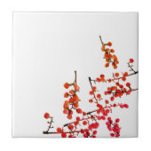 Fruitpatroon met rode pepper tegeltje (Voorkant)