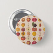  fruitpatroon ronde button 5,7 cm (Voorkant /achterkant)
