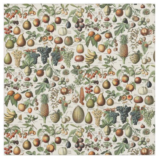 fruitpatroon van Adolphe Millot Stof (Close Up)