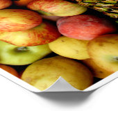 Fruits by Johannes Stötter Poster (Hoek)