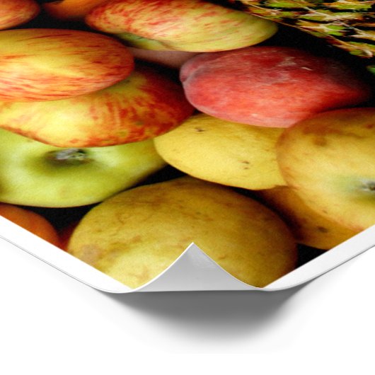 Fruits by Johannes Stötter Poster (Hoek)