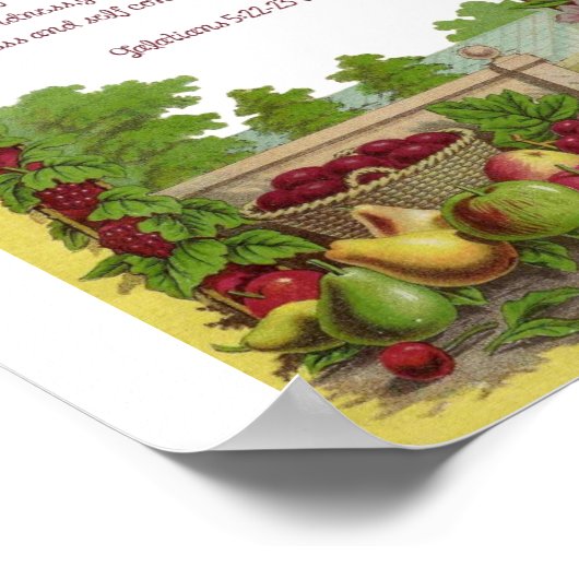 Fruits of the Spirit Poster (Hoek)