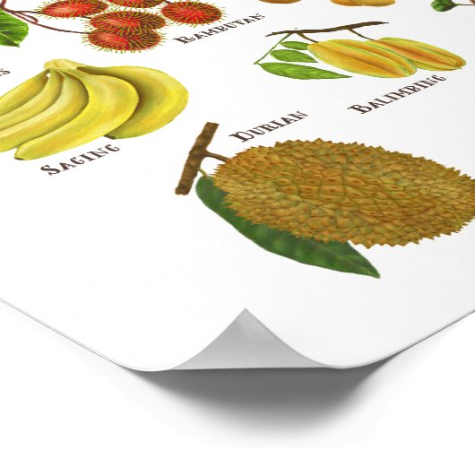 Fruits op de Filipijnen Poster (Hoek)