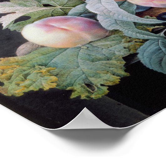 Fruits Poster (Hoek)