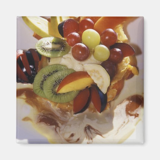 Fruitsalade met ijs. magneet (Voorkant)