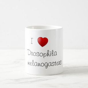 Fruitvliegje Koffiemok