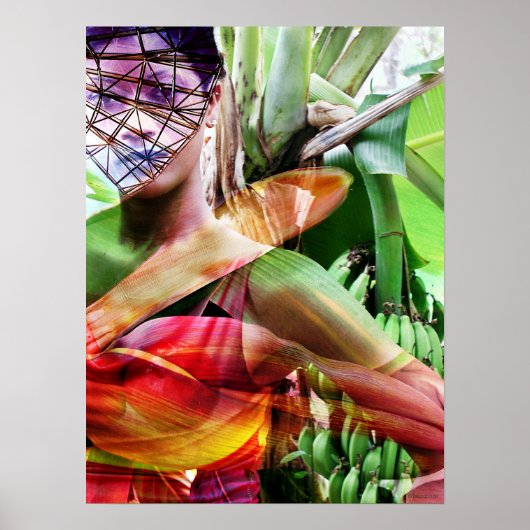 fruitvliegveld poster (Voorkant)