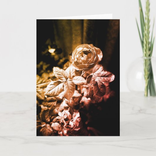 Fruity Parfuma-Roos - Hartelijk dank Bedankkaart (Voorkant)