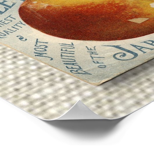  fruitzaadpakket uit de late jaren 1800 poster (Hoek)