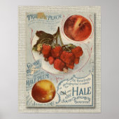  fruitzaadpakket uit de late jaren 1800 poster (Voorkant)