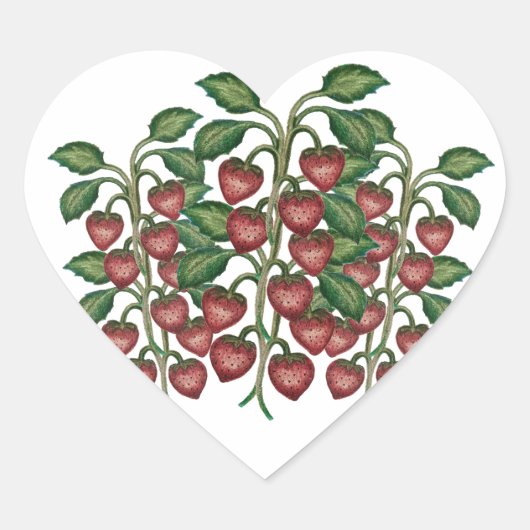 Frutillas corazón hart sticker (Voorkant)