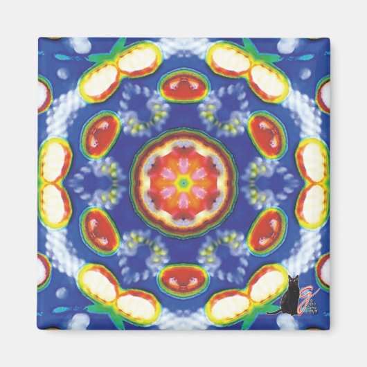 Fruty Kaleidoscope Magnet (Voorkant)