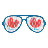 Fryslân Boppe Aviator Zonnebril (Voorkant)